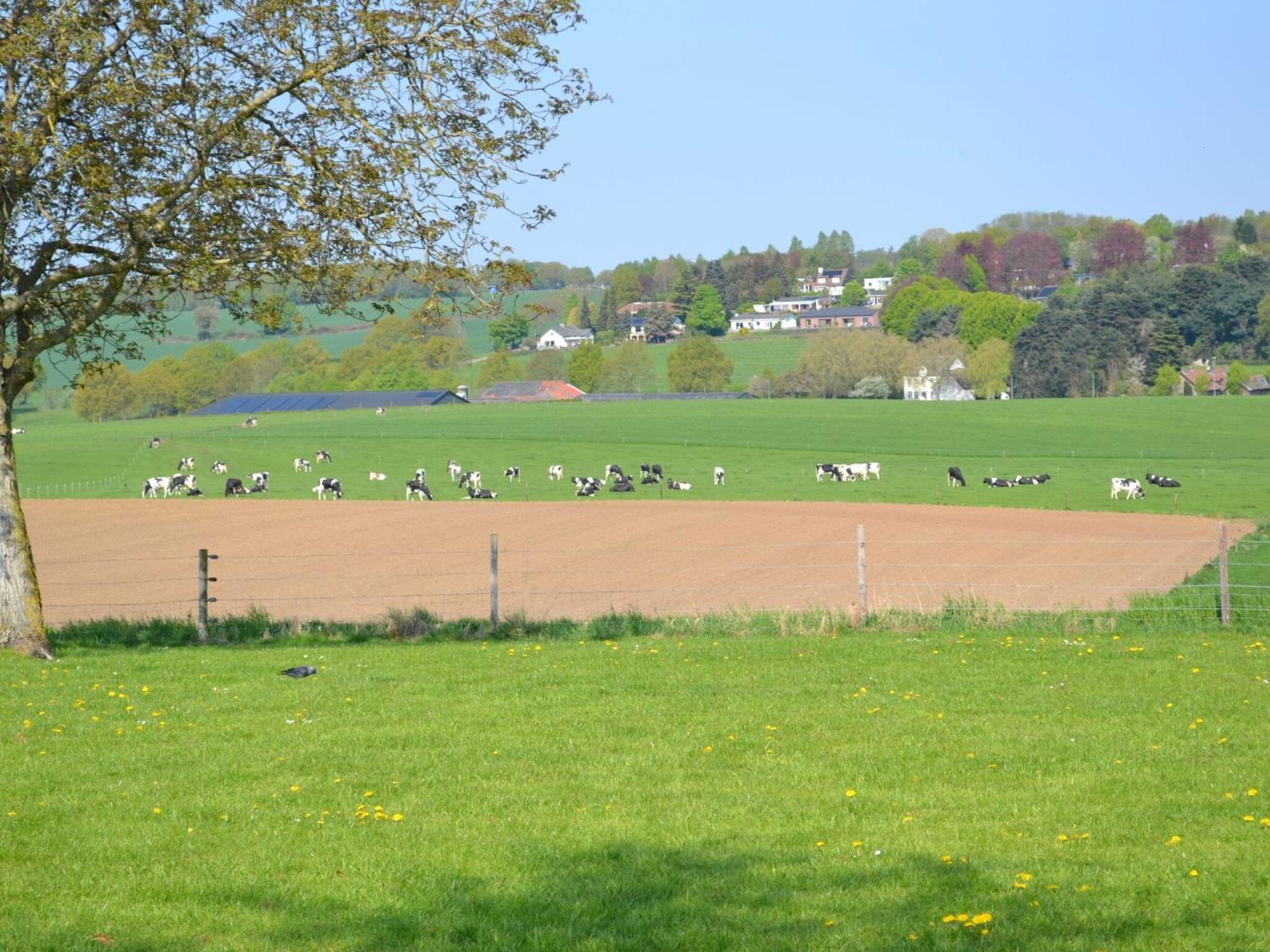 Attractive Farmhouse In South Limburg With Terrace Villa Klimmen Esterno foto
